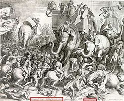 Elephant.jpg
