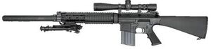 SR-25.jpg