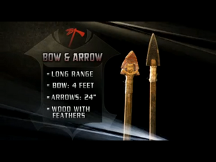 Bow & Arrow (Apache)