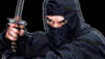 Ninja2.jpg