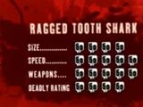 Ragged tooth shark