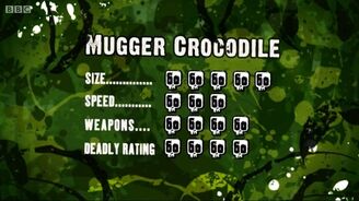 S3 DR mugger croc