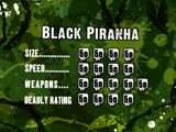 Black piranha