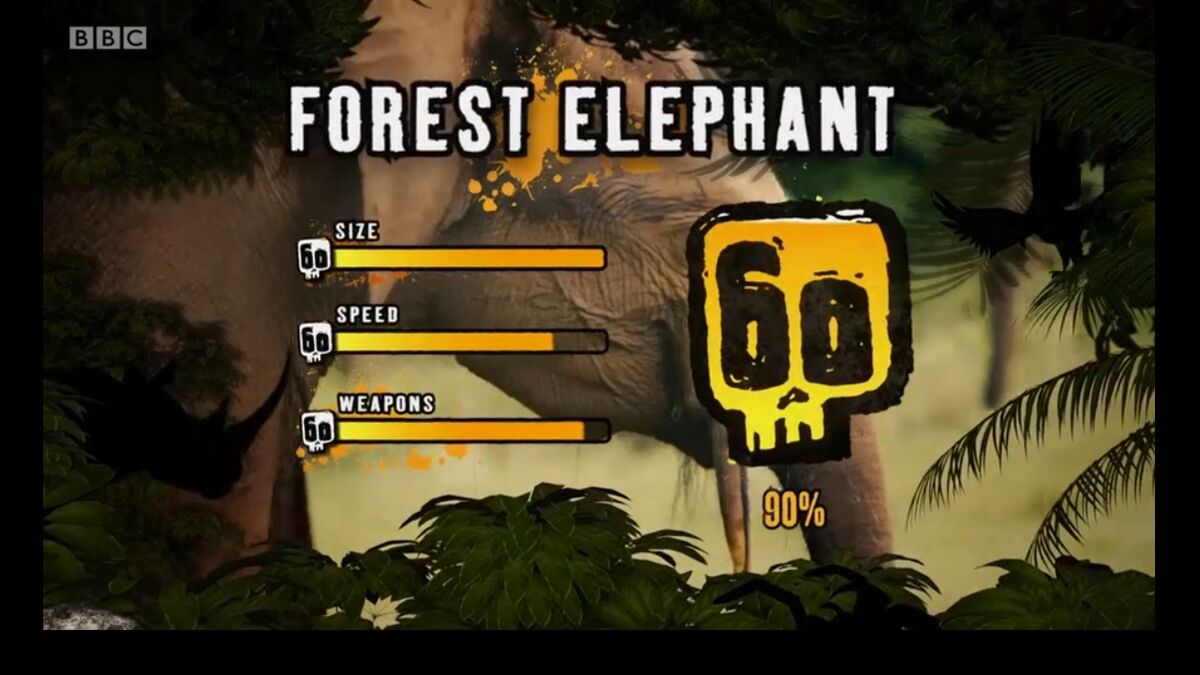 Forest Elephant | Deadly 60 Wiki | Fandom