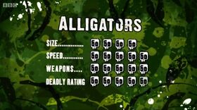 S3 DR alligator