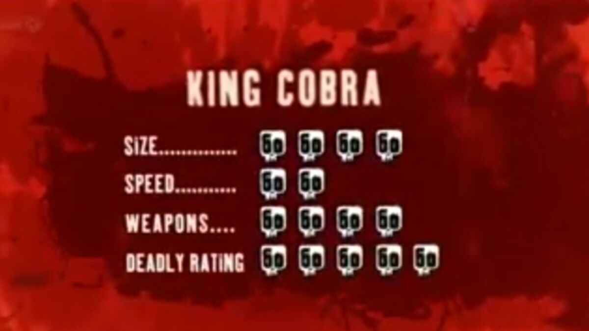 King cobra | Deadly 60 Wiki | Fandom