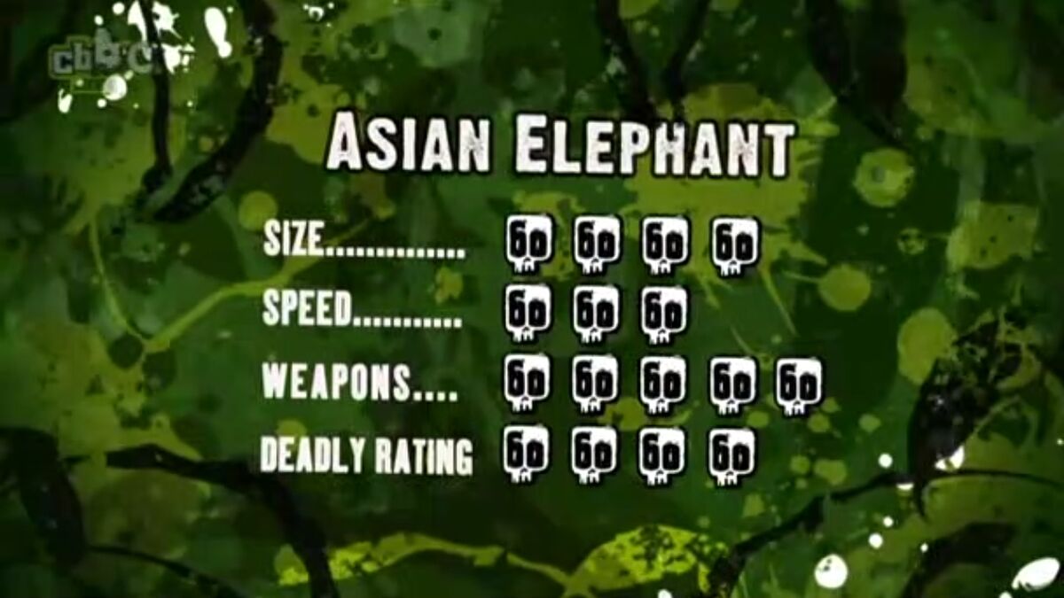 Asian elephant | Deadly 60 Wiki | Fandom