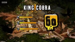 King cobra | Deadly 60 Wiki | Fandom