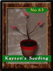 Seedling63