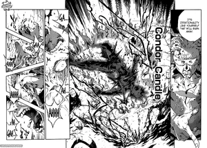 Condor Candle en Hagire-Toto.