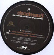 SlipMau5trap3.jpg (23 KB)