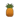Pineapple icon