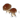 Brown mushrooms icon