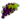 Grapes icon