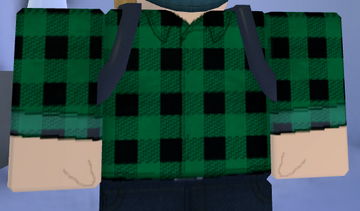 Blue Plaid Shirt, Roblox Wiki