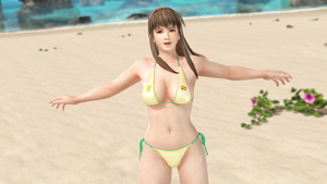 Hitomi Dead or Alive Extreme 3