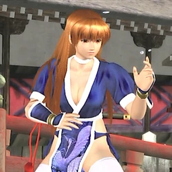 Dead or Alive 4 costumes
