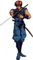 Promotional Art - Ninja Gaiden II: The Dark Sword of Chaos