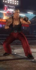 DOA5U Leon C3