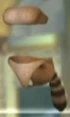 DOAXRaccoon