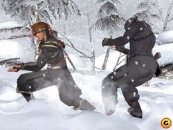 Ninja Assassin 2 ☯ NINJUTSU Brutal Training