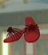 DOAXBVRedHighHeels
