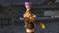 DOA5LR Samurai Warriors