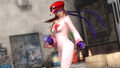 DOA5LR Tatsunoko Mashup