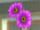 DOAXBVUnknownPinkFlowers.jpg