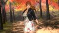 DOA5U Casual Collection Vol. 2