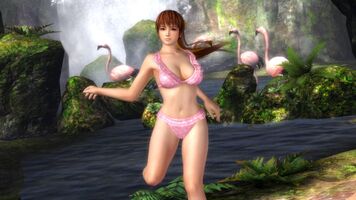 The "Lily" for Kasumi: Pink bikini with white polka-dots, and frills around waistband and down the cleavage line.