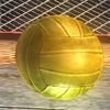 DOA5LR Gold Volleyball