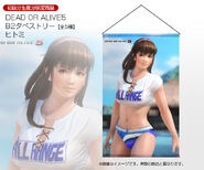B2 Tapestry (Hitomi)
