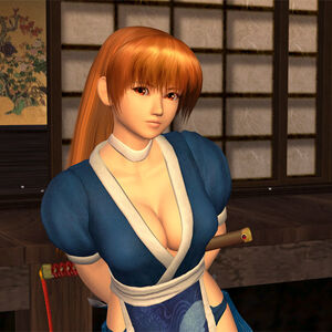 List Of Dead Or Alive 2 Ultimate Characters Dead Or Alive Wiki Fandom
