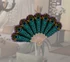 Peacock Fan