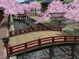Kyoto in Bloom