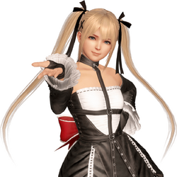 Dead or Alive (series), Dead or Alive Wiki