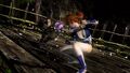 Kasumi vs. Ayane