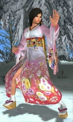 Kokoro/Dead or Alive Dimensions costumes | Dead or Alive Wiki | Fandom