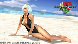 Dandonfuga, women, Christie (Dead or Alive), video game characters, curvy, big  boobs, belly, women outdoors, digital art, artwork, Dead or Alive,  swimwear, bikini, video games, video game girls, video game warriors, boobs