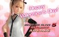 Promotional image for Valentine's Day 2014 - DOA5U Arcade