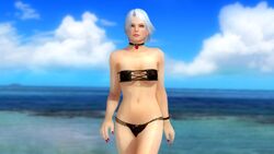 Dandonfuga, women, Christie (Dead or Alive), video game characters, curvy, big  boobs, belly, women outdoors, digital art, artwork, Dead or Alive,  swimwear, bikini, video games, video game girls, video game warriors, boobs