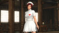 Nurse Costume 10-Character Set