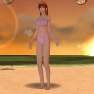 List Of Dead Or Alive Paradise Characters Dead Or Alive Wiki Fandom