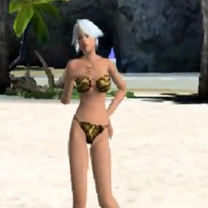 List Of Dead Or Alive Paradise Characters Dead Or Alive Wiki Fandom