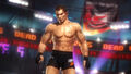 DOA5 Fighter Pack