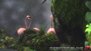 DOA5LR - Primal - Flamingos - screen by AdamCray and AgnessAngel