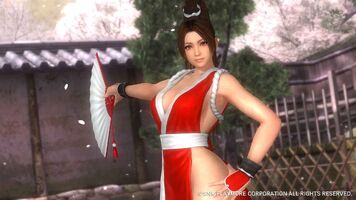 Mai Shiranui's default costume