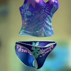 Category Dead Or Alive Paradise Costumes Dead Or Alive Wiki Fandom