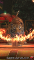 DOA5LR - The Tiger Show1 - screen by AdamCray and AgnessAngel